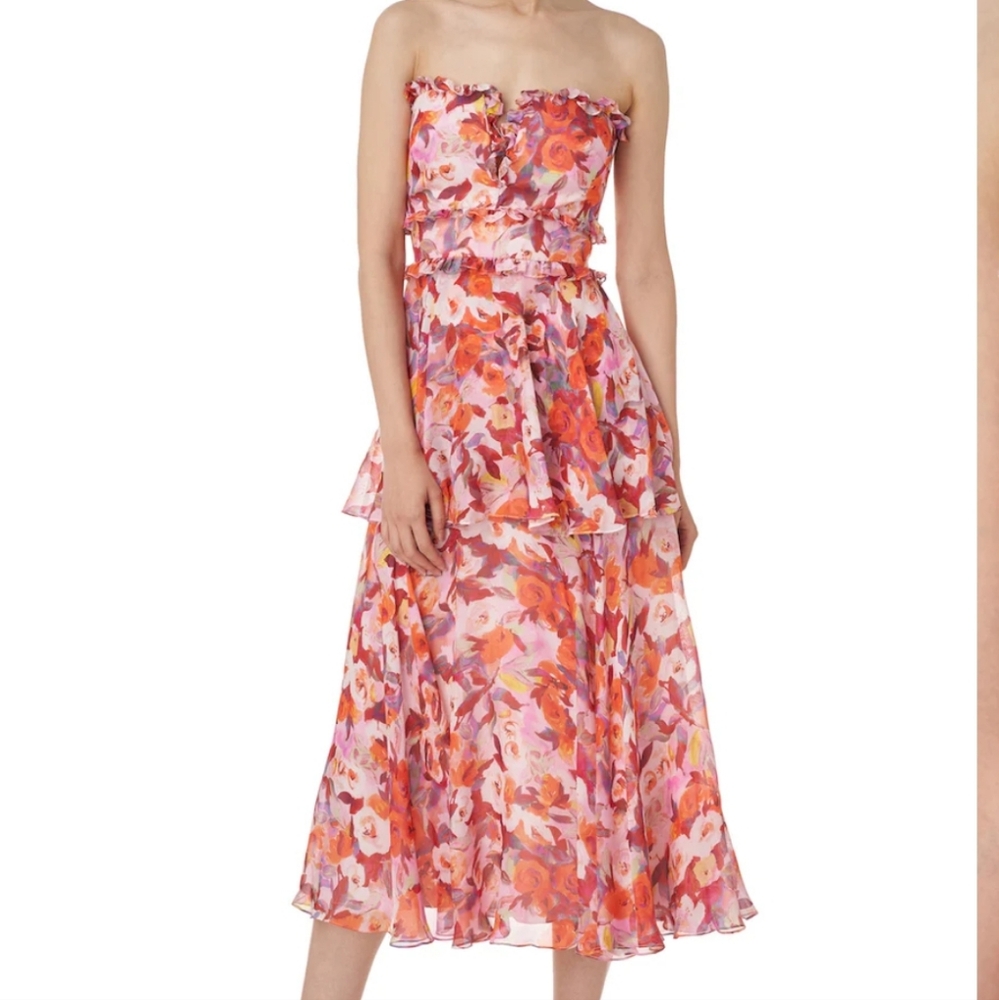 Amur Darla Dress 2